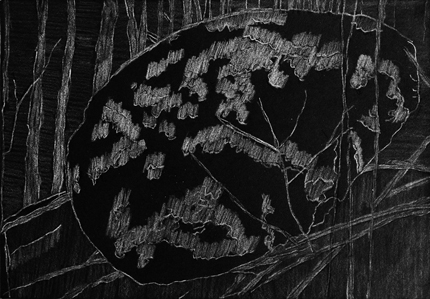 drawing 2