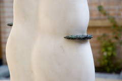 spanisch dream detail