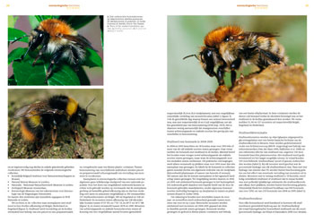 entomologieeb1