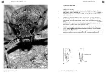 eiset3
