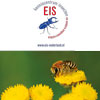 eis folder