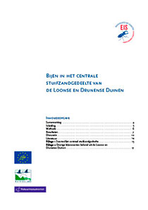 rapport