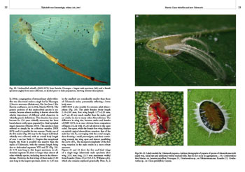 entomologietve2