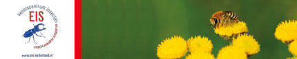 nkvb banner