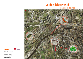 natlekkerwilduitnodiging