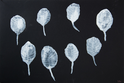 witte bladeren